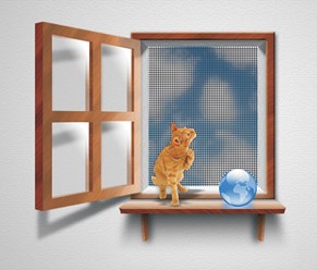 Фото компании ООО «MOSK-SETKI» 1