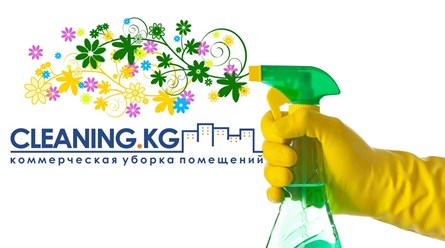 Фото компании ООО Уборка клининг - CLEANING.KG 10