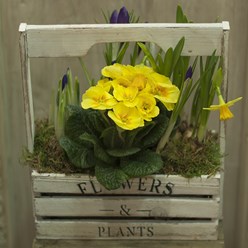 Фото компании ИП «МОИ ЛЮБИМЫЕ ЦВЕТЫ» 7