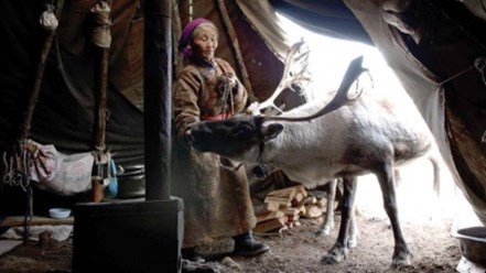 музей кочевых народов с клубом Жюль Верн, Балашиха