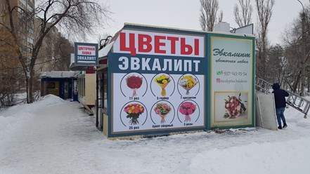 Распечатали и повесили баннеры Цветы