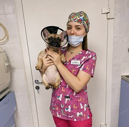 Фото компании  Центр ветеринарной офтальмологии доктора Шилкина А.Г. на ул. Островитянова 10