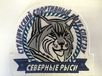 Фото компании ООО Логотип СПб 55