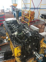 Фото компании  Tractorcat 1