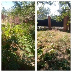 Дмитрий расчистка придомовой территории в Краснодаре