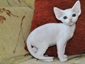 Фото компании  Florans 1