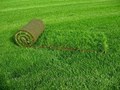 Фото компании ООО СтройЛандшафт 5