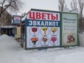 Распечатали и повесили баннеры Цветы