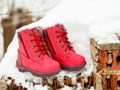 Зимняя обувь Котофей купить в интернет-магазине det-os.ru