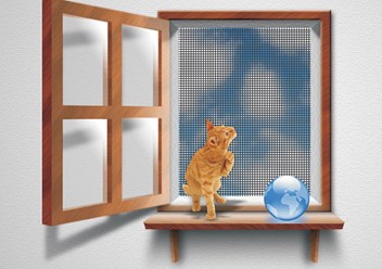 Фото компании ООО «MOSK-SETKI» 1