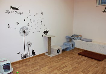 Фото компании  Зоогостиница Cat Friendly 2