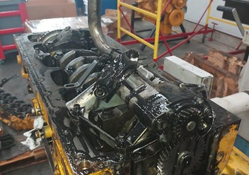 Фото компании  Tractorcat 1