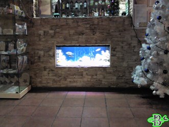 Фото компании ООО Водяной 14