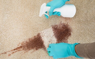 Химчистка ковровых покрытий и мягкой мебели