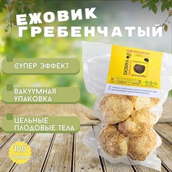 Ежовик гребенчатый: сушеное плодовое тело для ясного ума и крепких нервов