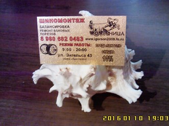 Фото компании  Колесница 1