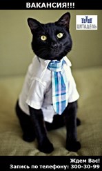 Фото компании ООО Агентство недвижимости "Цитадель" 5