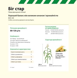 Семена кукурузы БИГ СТАР EURALIS SEMENCES (ЄВРАЛІС СЕМАНС)