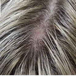 Фото компании  Cocos 7