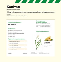 Семена кукурузы КАПИТАЛ