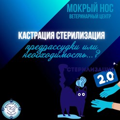 Фото компании ООО Мокрый нос 6