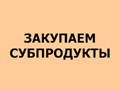 Закупаем субпродукты российского и белорусского производства