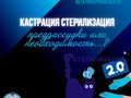 Фото компании ООО Мокрый нос 6