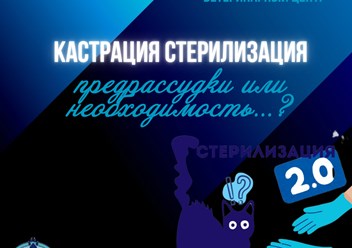 Фото компании ООО Мокрый нос 6
