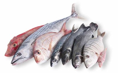 РЫБА СВЕЖЕМОРОЖЕНАЯ, МОРЕПРОДУКТЫ, ИКРА, РЫБА ВЯЛЕНАЯ, РЫБА КОПЧЕНАЯ, РЫБА СОЛЕНАЯ, РЫБА СУШЕНАЯ, СЕВЕРНАЯ РЫБА, ДАЛЬНЕВОСТОЧНАЯ РЫБА, РЫБНЫЕ ПОЛУФАБРИКАТЫ, РЫБНЫЕ СТЕЙКИ, РЫБНОЕ ФИЛЕ, РЫБНЫЕ СНЕКИ
