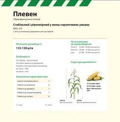 Семена кукурузы ПЛЕВЕН Maisadour Semences (МАИСАДУР СЕМАНС)