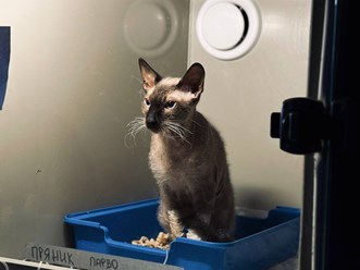 Фото компании  ПЛАНЕТА 13