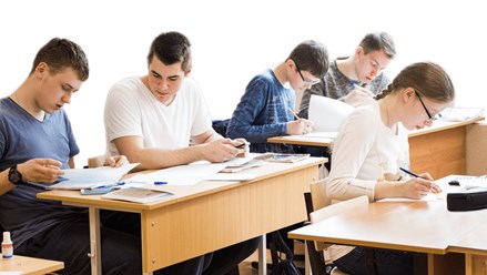 Фото компании ООО Merlin School 2