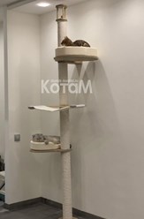 Фото компании  Мебель для кошек КотаМ 8