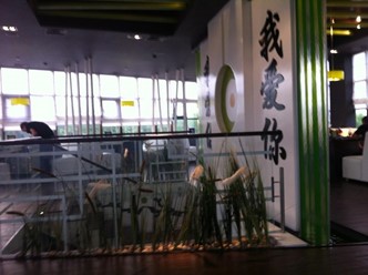 Фото компании  Зеленая горчица, студия суши 4