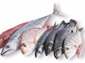 РЫБА СВЕЖЕМОРОЖЕНАЯ, МОРЕПРОДУКТЫ, ИКРА, РЫБА ВЯЛЕНАЯ, РЫБА КОПЧЕНАЯ, РЫБА СОЛЕНАЯ, РЫБА СУШЕНАЯ, СЕВЕРНАЯ РЫБА, ДАЛЬНЕВОСТОЧНАЯ РЫБА, РЫБНЫЕ ПОЛУФАБРИКАТЫ, РЫБНЫЕ СТЕЙКИ, РЫБНОЕ ФИЛЕ, РЫБНЫЕ СНЕКИ