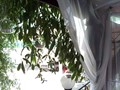 Фото компании  Три Оленя 5