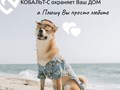 Фото компании ООО ЧОО Кобальт - Охрана 2