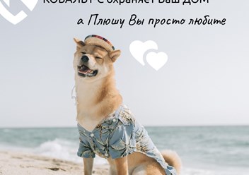Фото компании ООО ЧОО Кобальт - Охрана 2