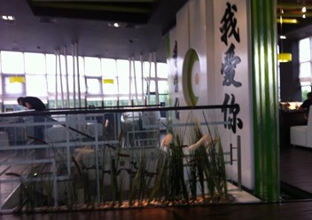 Фото компании  Зеленая горчица, студия суши 4