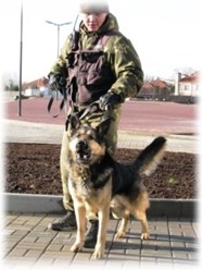 Охрана объектов со служебными собаками