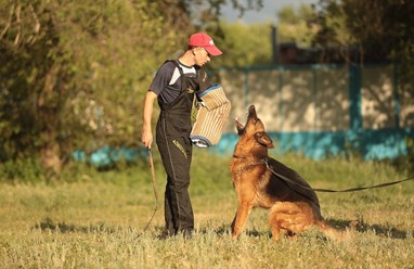Фото компании  KARVIDEAN 6