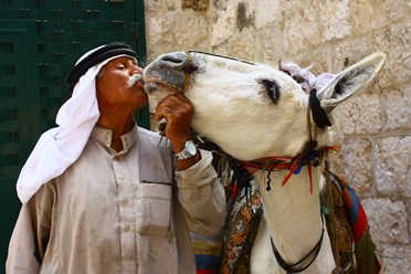 Фото компании ООО КЛАССИК ТРЭВЕЛ СПб 16