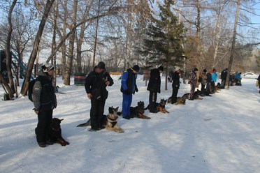 Омский областной центр спортивно-служебного собаководства (ОЦССС) - школа чемпионов!