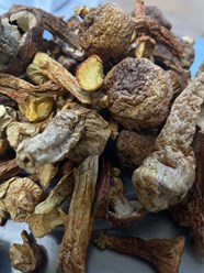 Агарик бразильский, 5700 р/кг