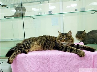 Фото компании ООО "BookingCat" 3
