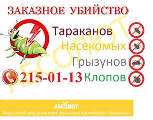 АБСОЛЮТ профессионально уничтожим клопов в Красноярске, тараканов, муравьев, блох звоните: 215-01-13