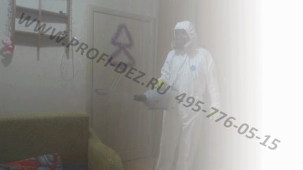 Компания "ПРОФИ-ДЕЗ" 
ДЕЗИНСЕКЦИЯ
ДЕРАТИЗАЦИЯ
ДЕЗИНФЕКЦИЯ
ДЕЗОДОРАЦИЯ 8-495-776-05-15 8-977-806-05-15 ( 24/7 )