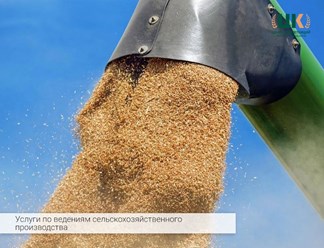Услуги по ведениям сельскохозяйственного производства