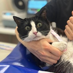 Фото компании ООО Веда 23