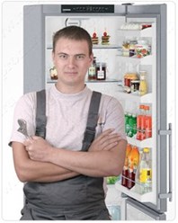 Ремонт холодильников по Башкирии 89174819043